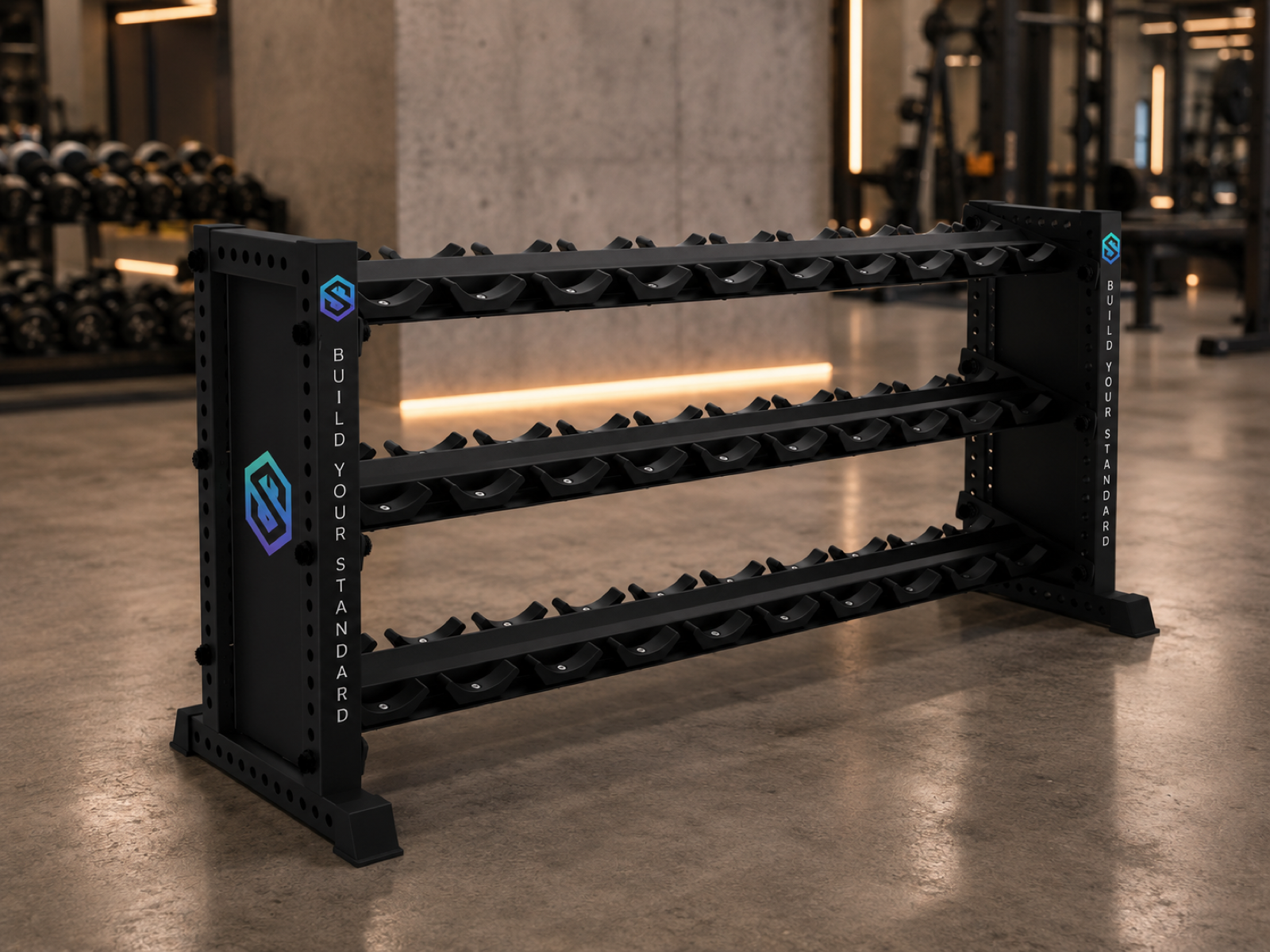 Branded Dumbbell Rack product sample in Racks